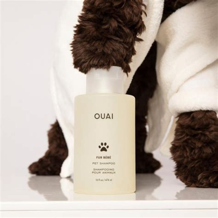 Antonia said&nbsp;OUAI Fur Bebe Pet Shampoo (pictured) left Herbie's coat feeling softer than ever and has a lovely fragrance that lingers
